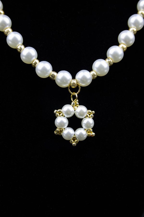 IMG_6030-Enhanced-NR Catherine