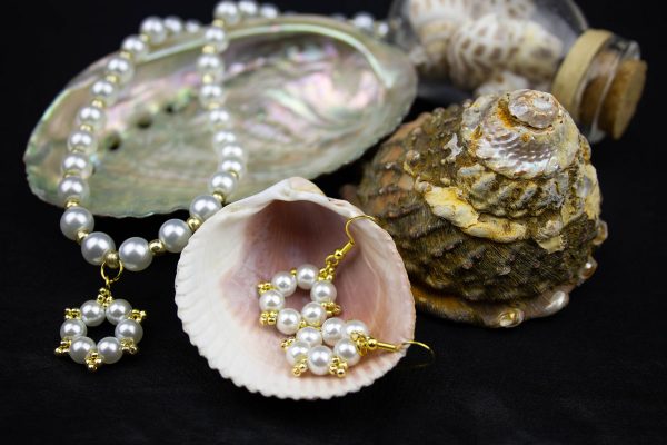 IMG_6063-Enhanced-NR Catherine