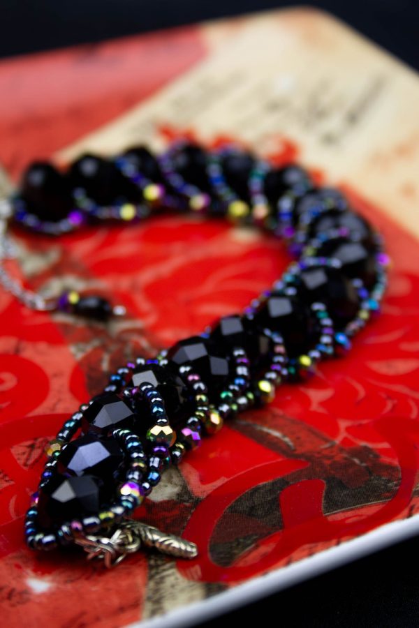 IMG_6225-Enhanced-NR Darci