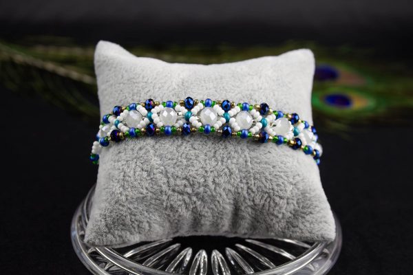 IMG_6506-Enhanced-NR Bianca