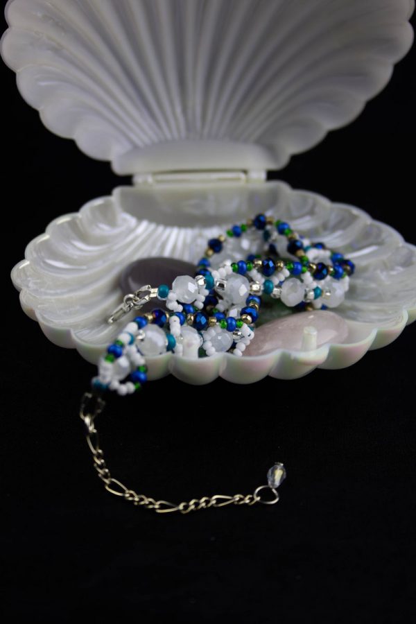 IMG_6525-Enhanced-NR Bianca