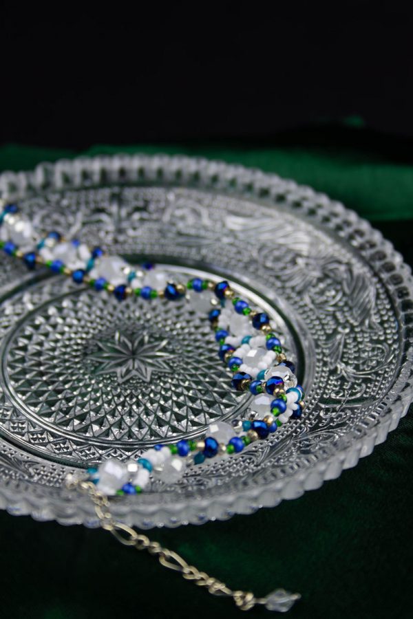 IMG_6540-Enhanced-NR Bianca