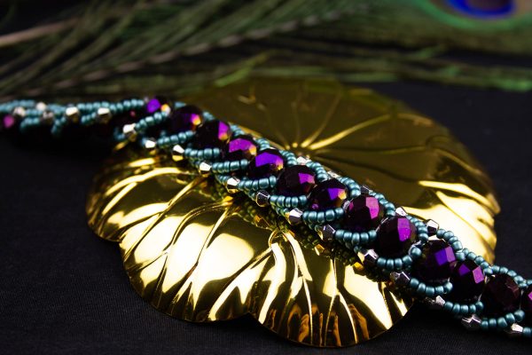 IMG_6569-Enhanced-NR Viola