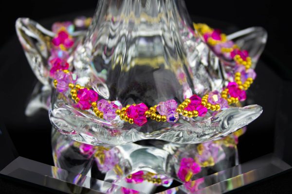 IMG_6671-Enhanced-NR Valentina