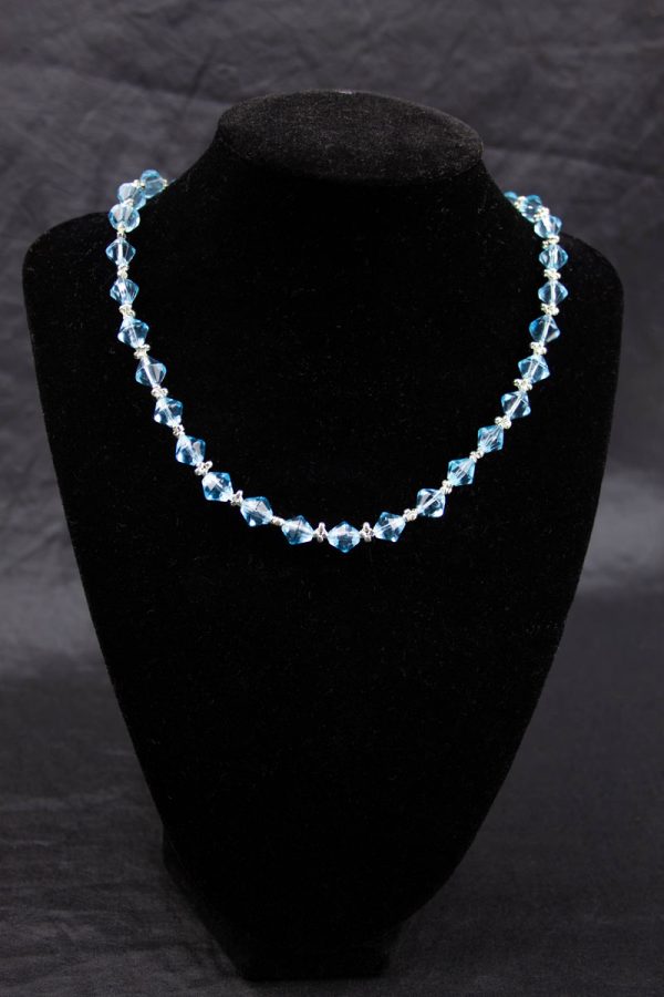 IMG_6743-Enhanced-NR Talia