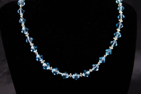 IMG_6744-Enhanced-NR Talia